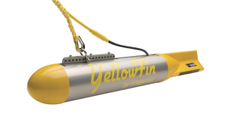 yellowfin_1